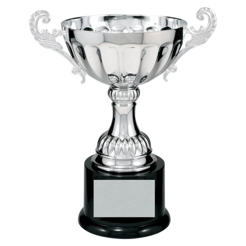 Silver Metal Cup-8 1/2"