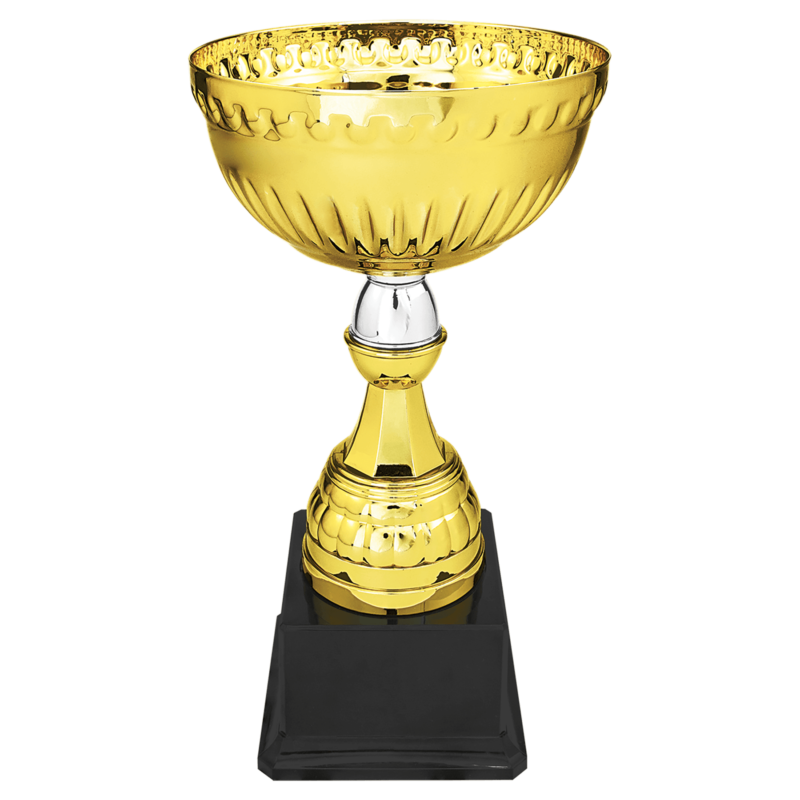 Gold/Silver Metal Cup-10 1/4"