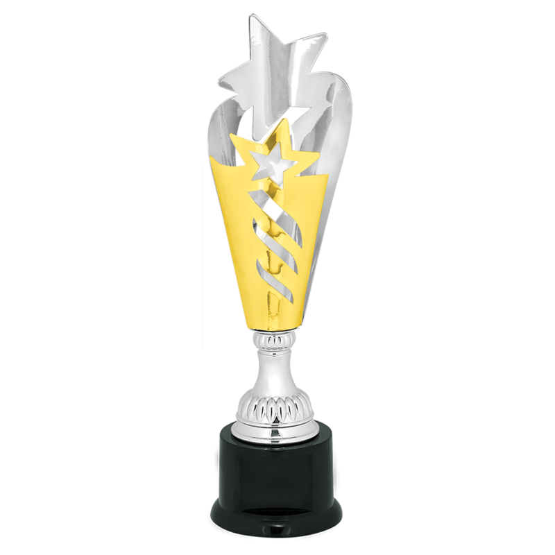 Silver/Gold Star Metal Cup