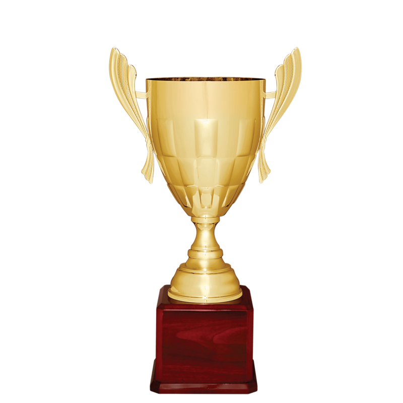 Gold Metal Cup-24 3/4"