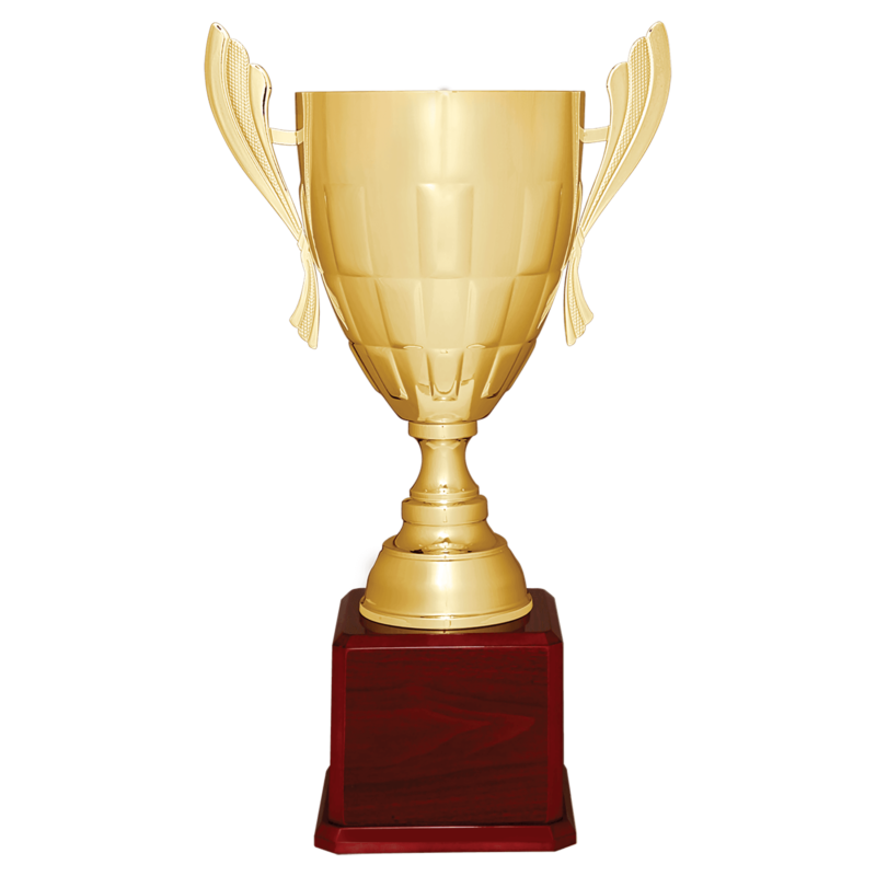 Gold Metal Cup-26 1/2"