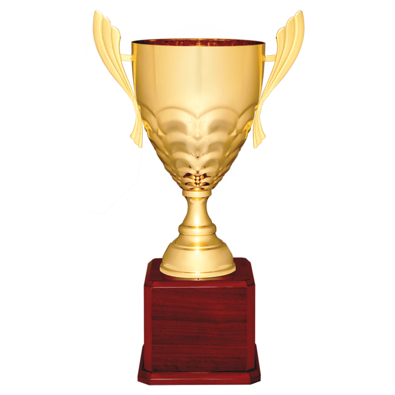 Gold Metal Cup-23 1/2"